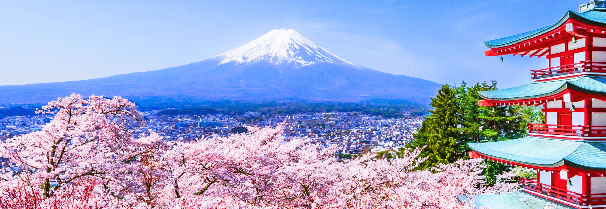 Japón